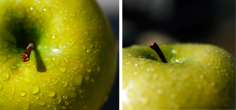 Photo decor apples
